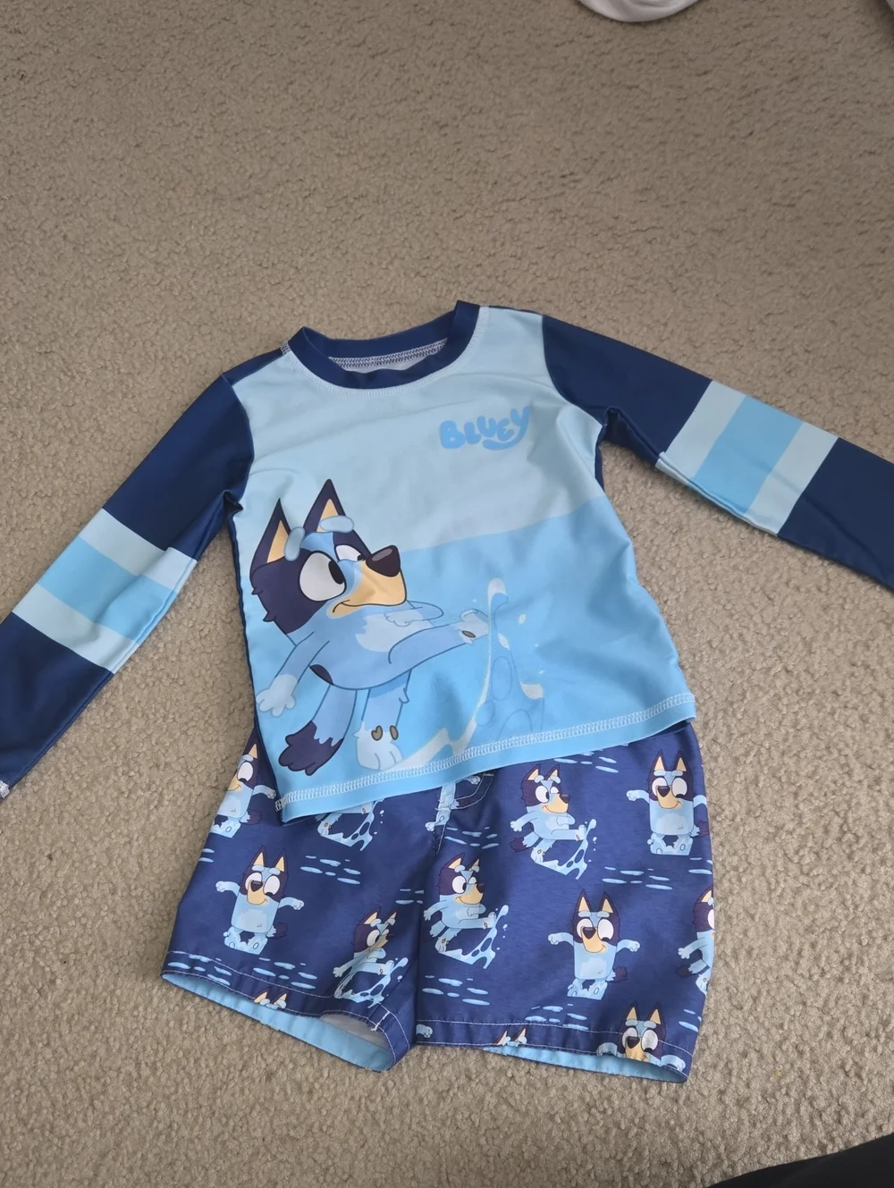 Toddler Bluey Swimsuit